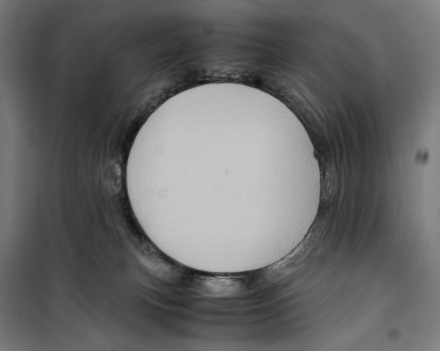 X0000099490183200806121401