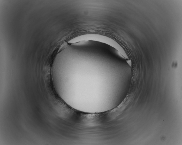 X0000099490184200806121401