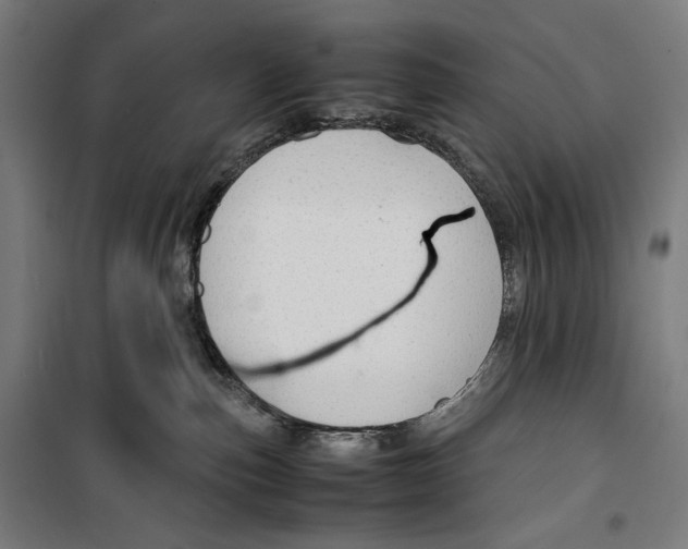 X0000099490187200806121401