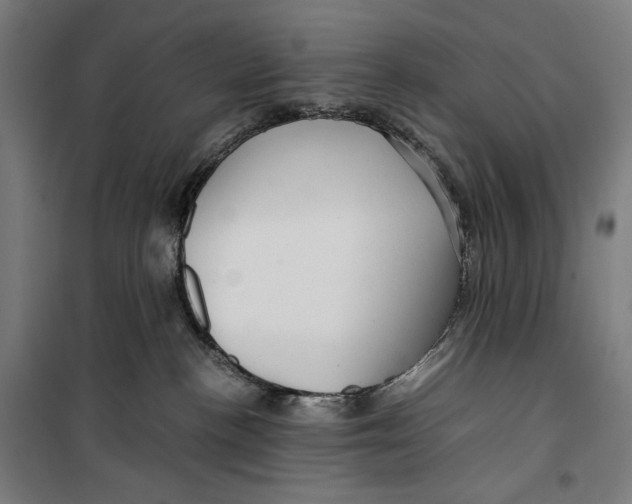 X0000099490188200806121401