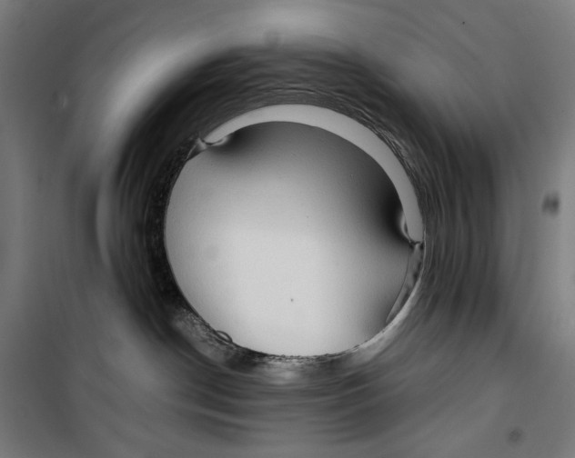 X0000099490190200806121401