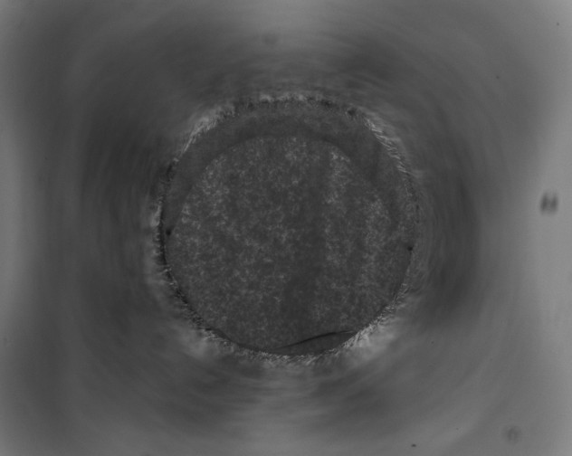 X0000099490192200806121401