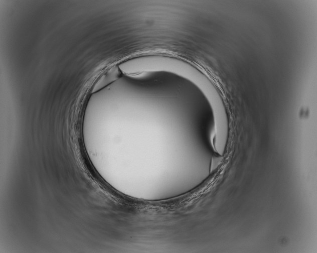 X0000099490193200806121400