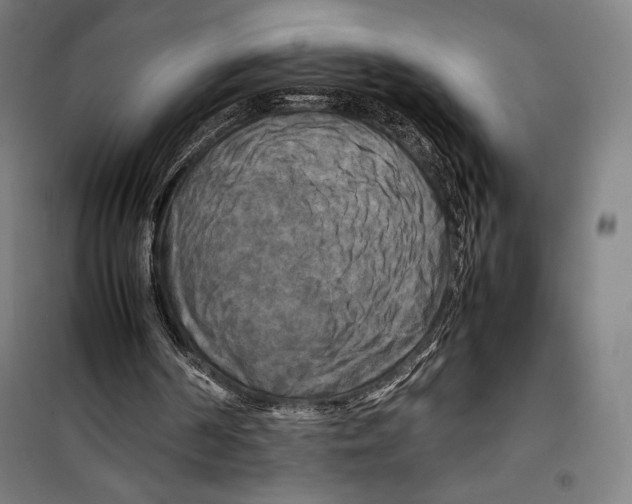 X0000099490194200806121400