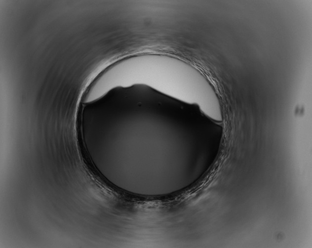 X0000099490196200806121400