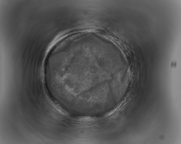 X0000099490198200806121400