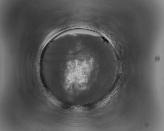 X0000099490199200806121400