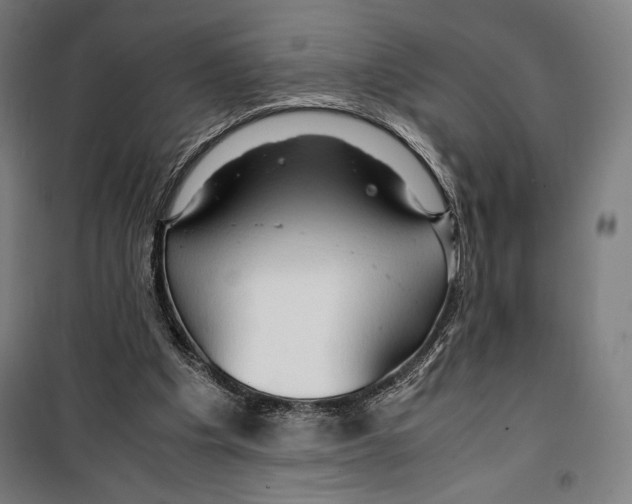 X0000099490201200806121400