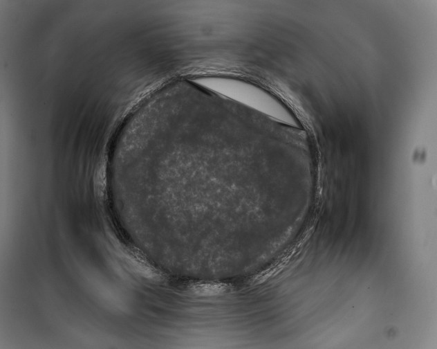 X0000099490202200806121400