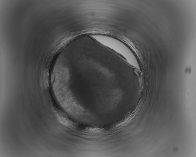 X0000099490205200806121400