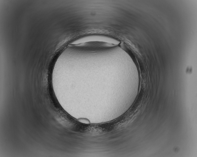 X0000099490207200806121400