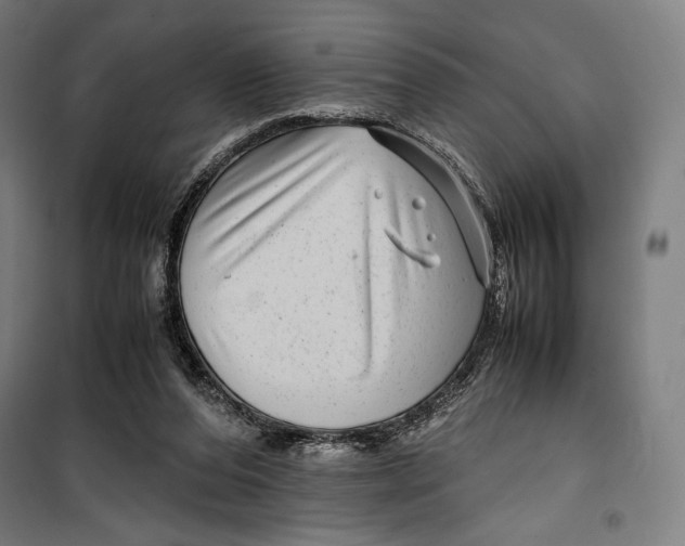 X0000099490208200806121400