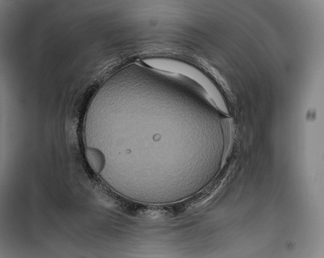 X0000099490209200806121400