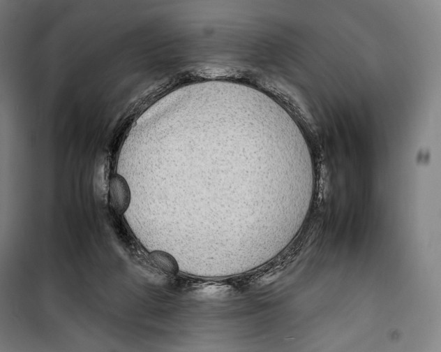 X0000099490210200806121400