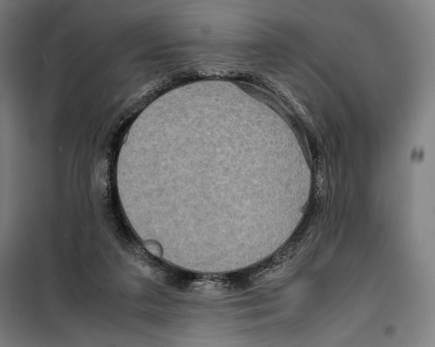 X0000099490211200806121400