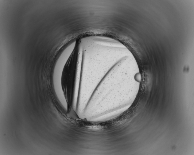 X0000099490212200806121400