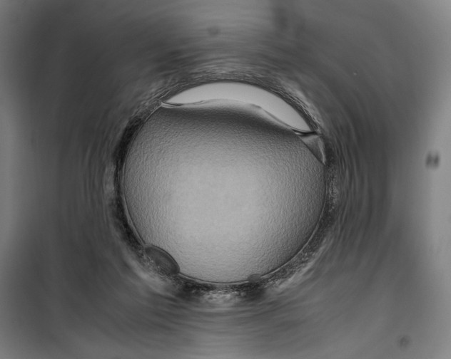 X0000099490213200806121359