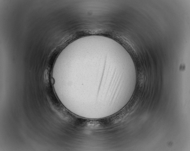 X0000099490214200806121359