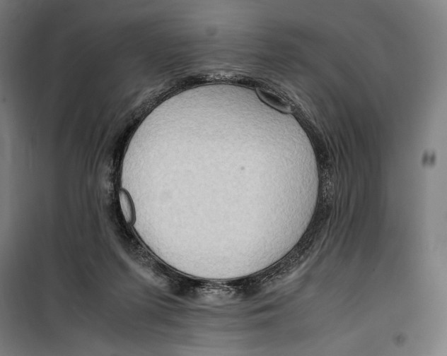 X0000099490215200806121359