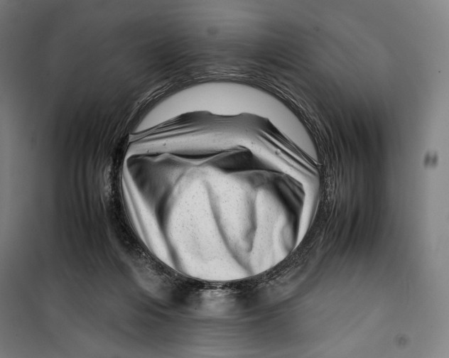 X0000099490216200806121359