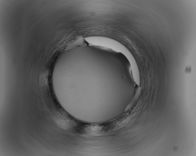 X0000099490217200806121359