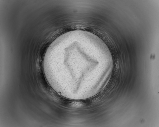 X0000099490218200806121359