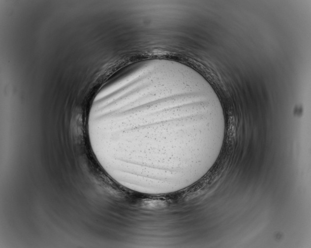 X0000099490220200806121359