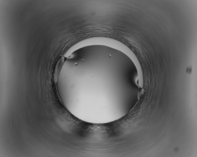 X0000099490221200806121359