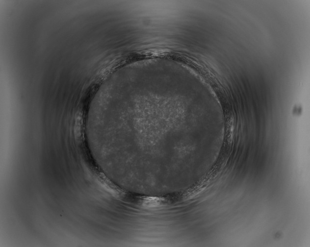 X0000099490222200806121359