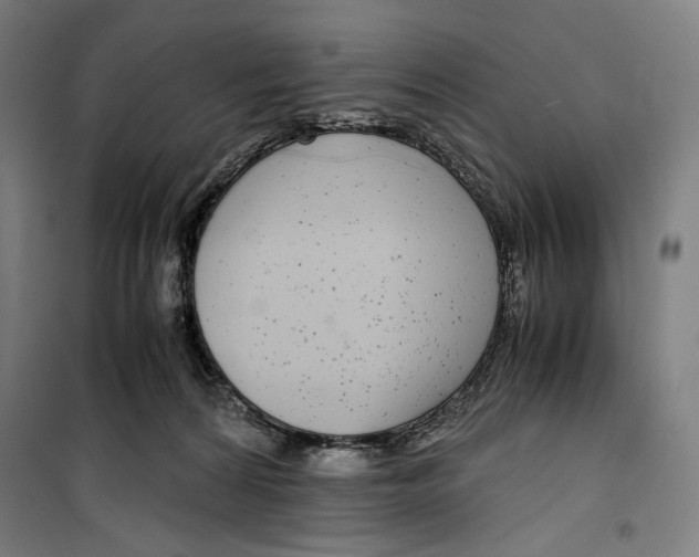 X0000099490224200806121359