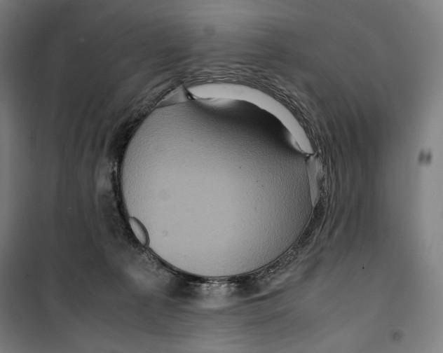 X0000099490225200806121359