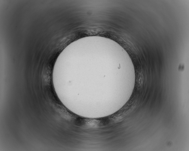 X0000099490226200806121359