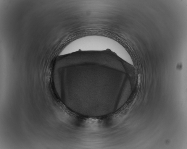 X0000099490227200806121359