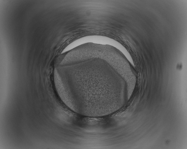 X0000099490229200806121359