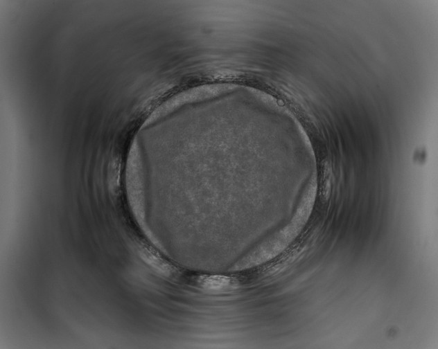 X0000099490230200806121359