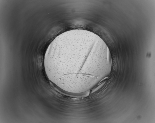 X0000099490232200806121359