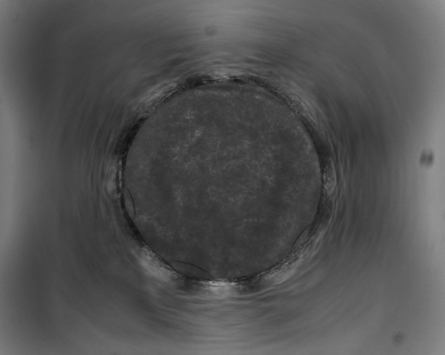 X0000099490233200806121359