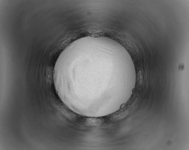 X0000099490234200806121359