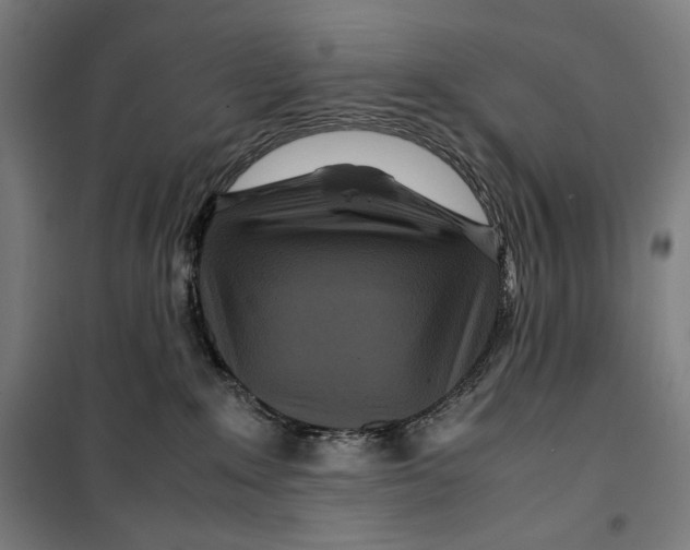 X0000099490235200806121359