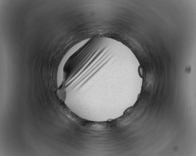 X0000099490236200806121359