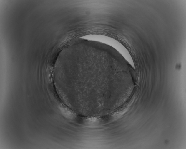 X0000099490237200806121359