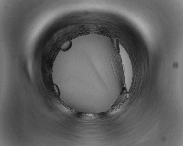 X0000099490239200806121359