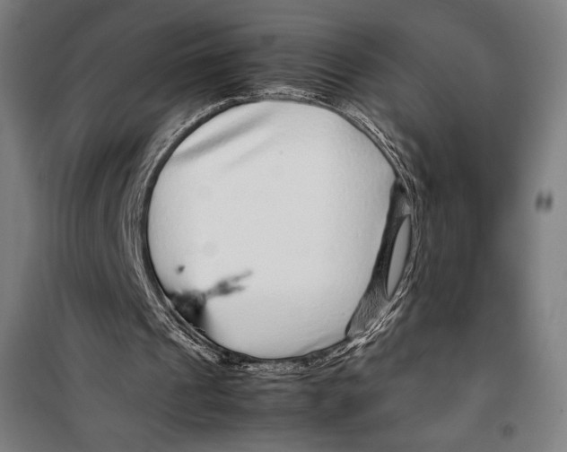 X0000099490241200806121358