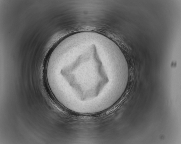 X0000099490242200806121358