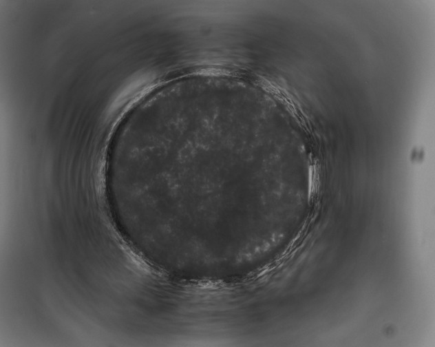 X0000099490243200806121358