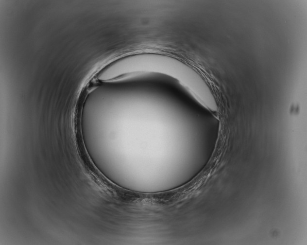 X0000099490244200806121358