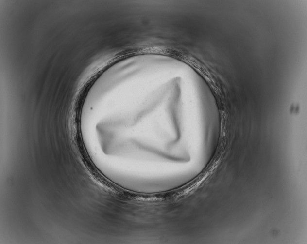 X0000099490245200806121358