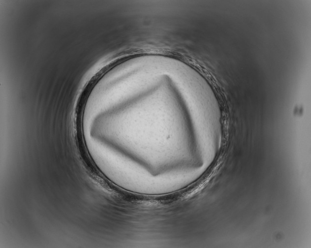 X0000099490246200806121359