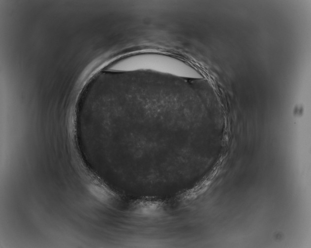 X0000099490247200806121359