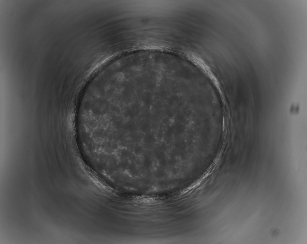 X0000099490249200806121359